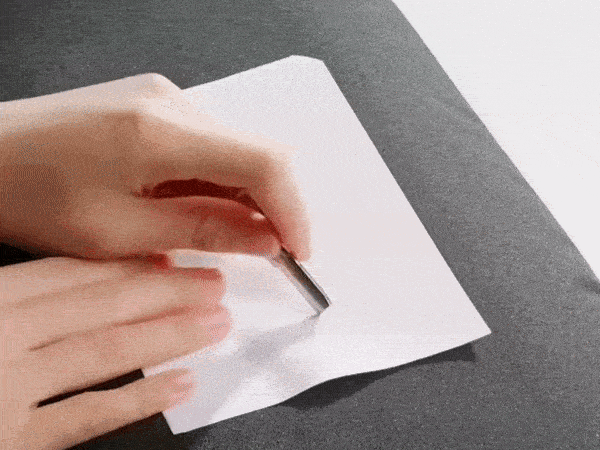F120250226233405.gif